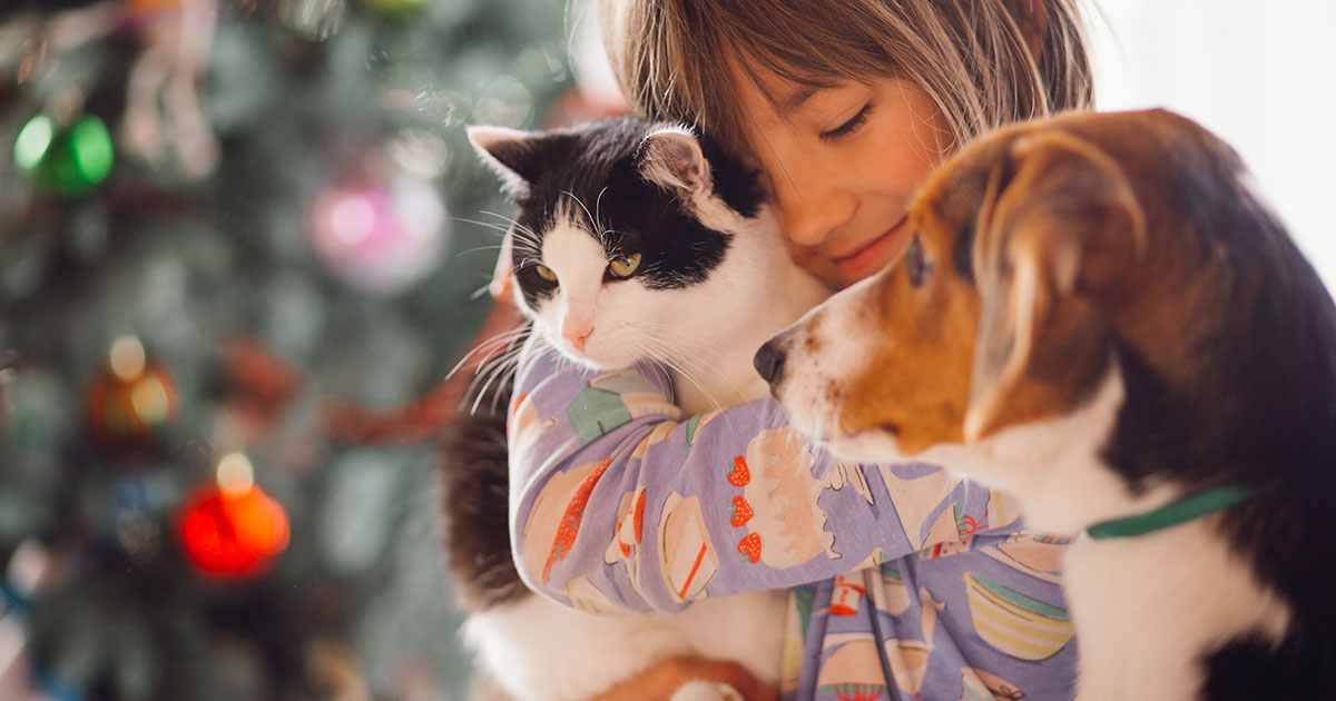 Cane, gatto e altri animali domestici, quando adottarli e perché