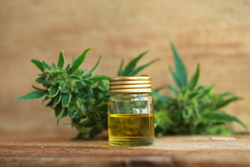 Olio di CBD: qualità e salute