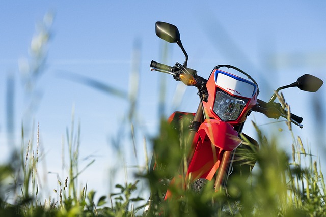 Come scegliere il colore giusto per la tua moto